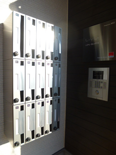 リブリ・セレッサⅡ_画像2